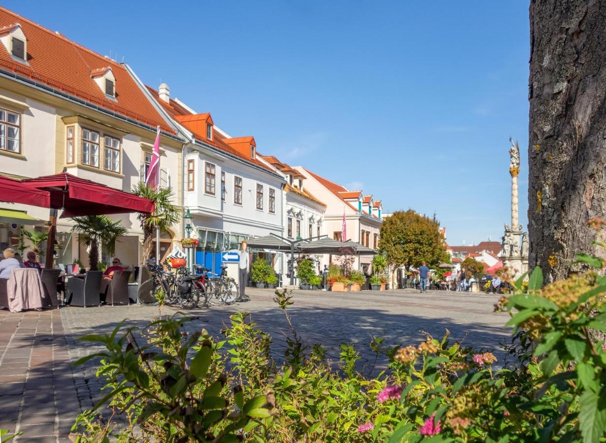 St Antoni Suite2 Stilvolle Ferienwohnung Mit Parkplatz In 아이젠슈타트 외부 사진